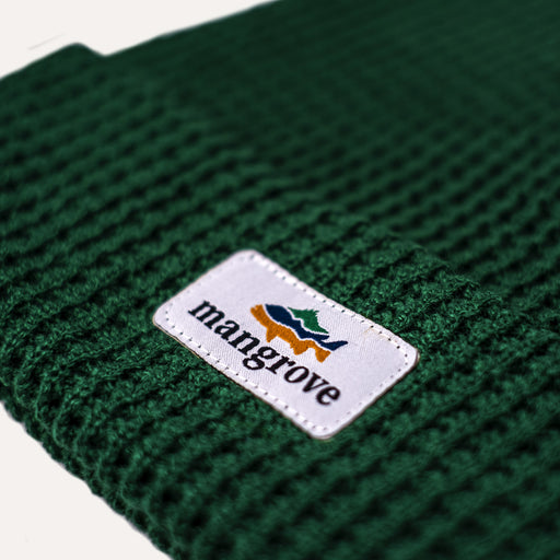 Classic Knit Beanie (Hinterland Green)